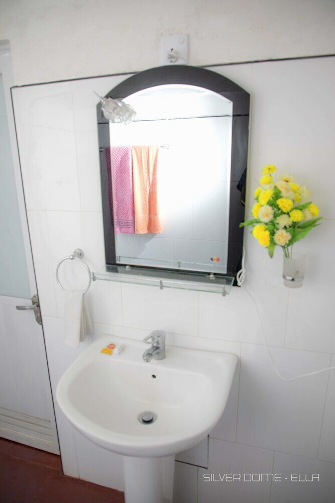 Фото Silver Dome