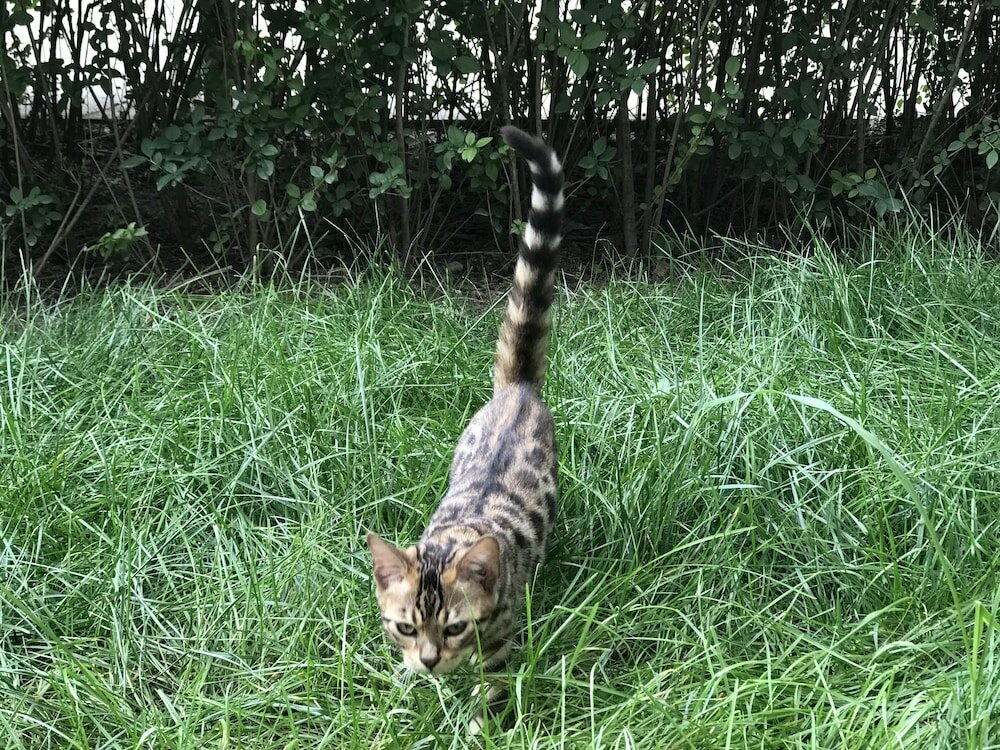 Фото Beijing Seasons Park Apartment