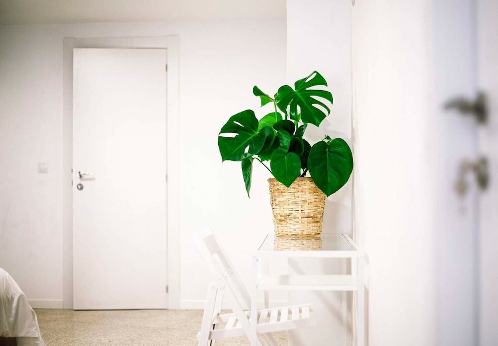 Фото B&b El Mercat