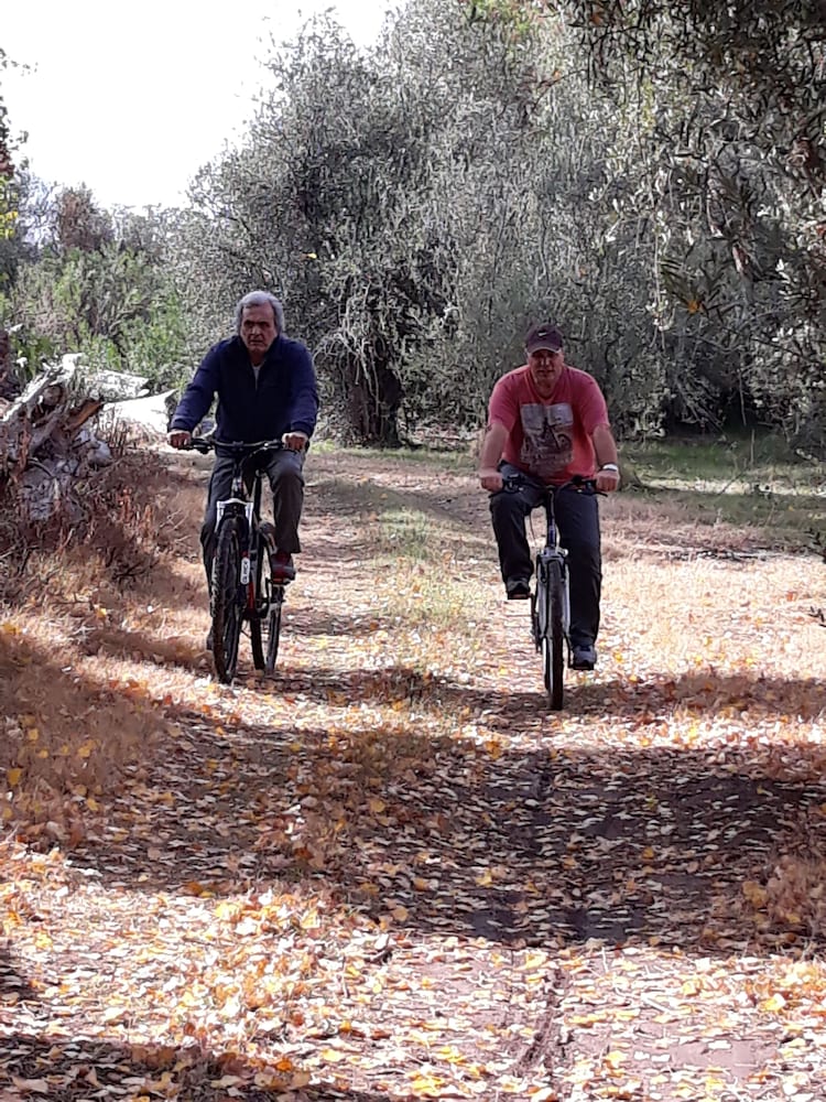 Фото Casona Rural de Maipu