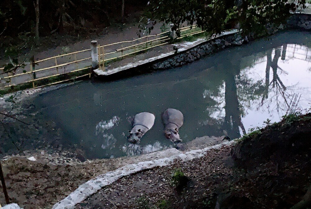 Фото Rancho Agua Salada