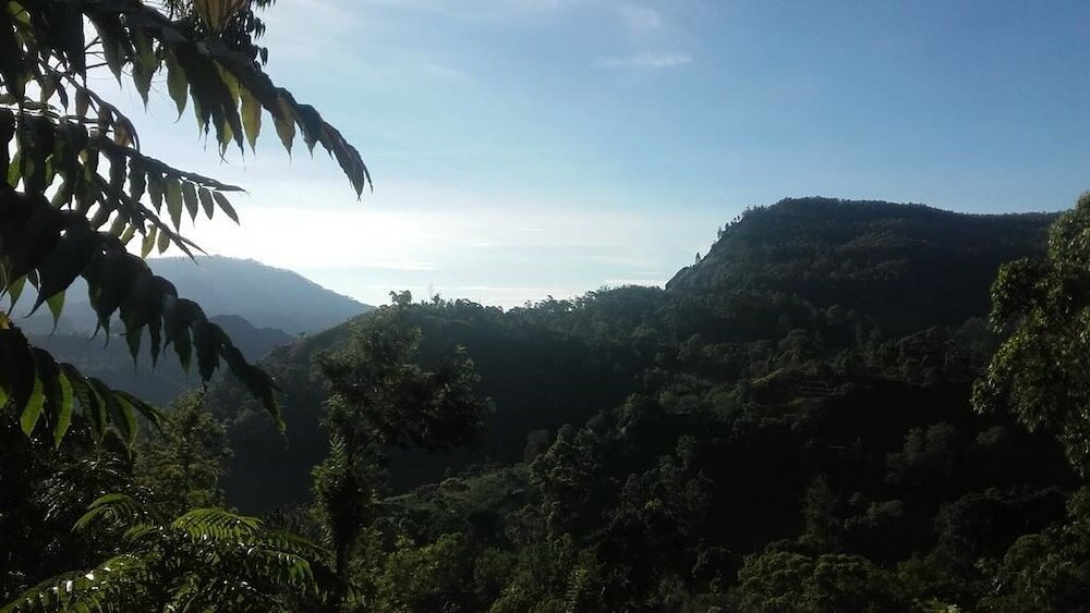 Фото Cloudy Hill Cottage