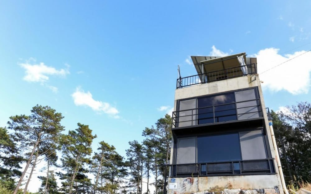 Фото Daebudo Ann's Gallery Pension