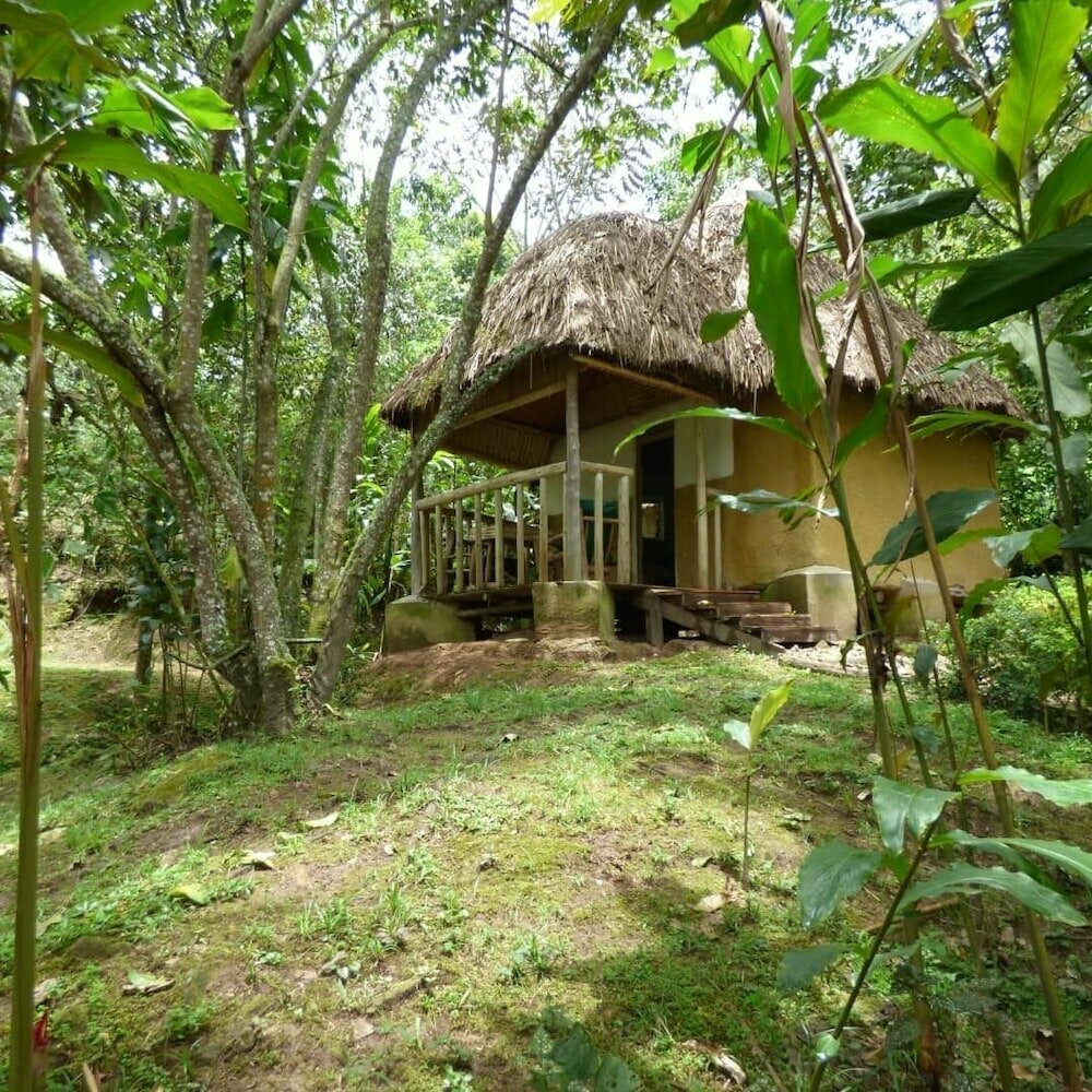 Hotel Nshongi Forest Camp, Earth, photo