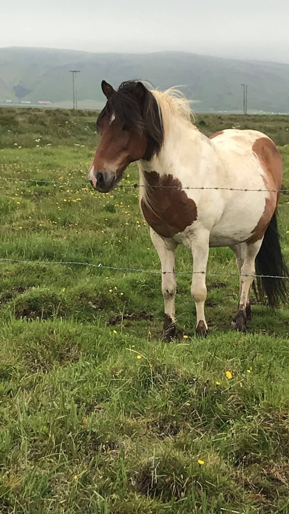 Фото Prestshús 2 Guesthouse