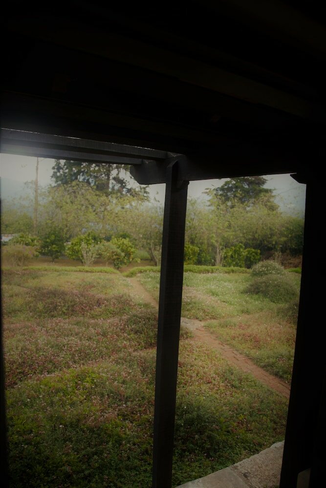 Фото Ferncliff Bungalow