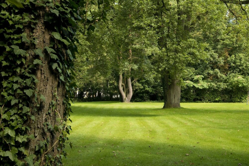 Фото Bloemenweelde