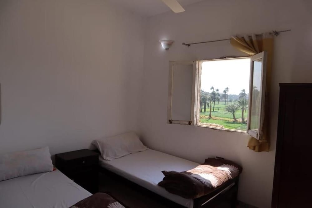 Фото Pharaonic Rose