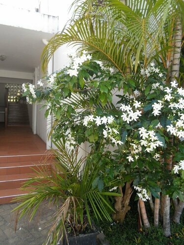 Гостиница Upanga B&b - Un Road в Дар-эс-Саламе