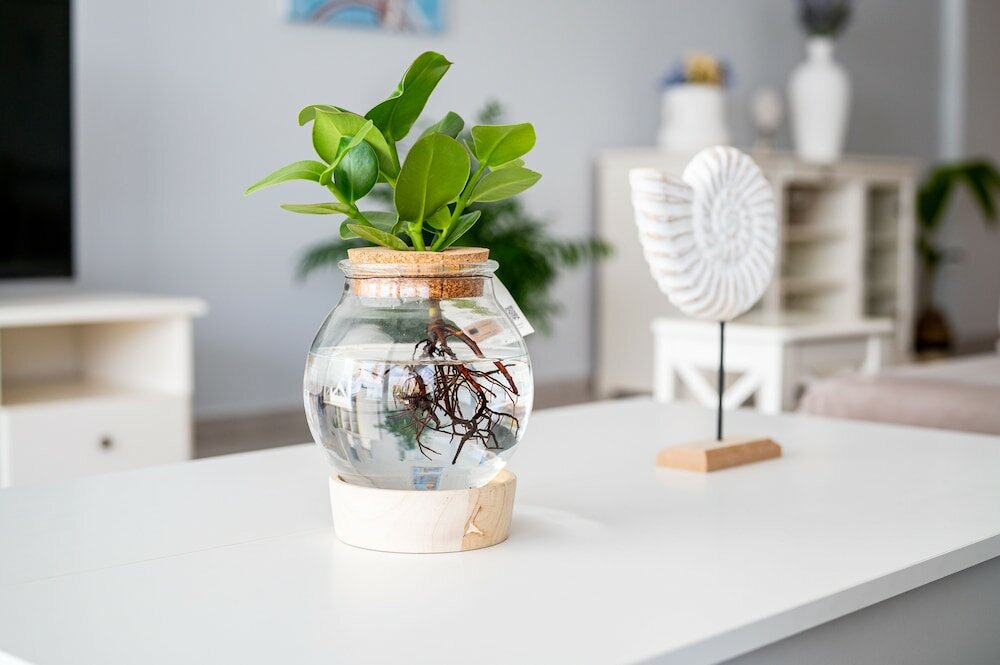 Фото Beach Deluxe House