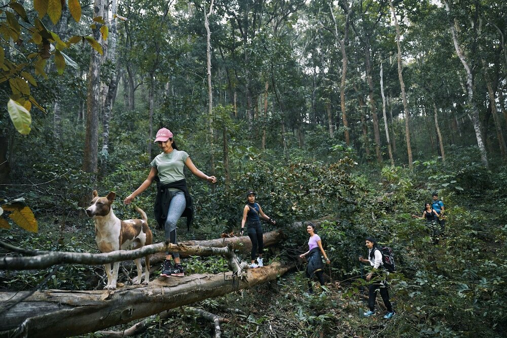 Фото Whistling Woodzs Resort