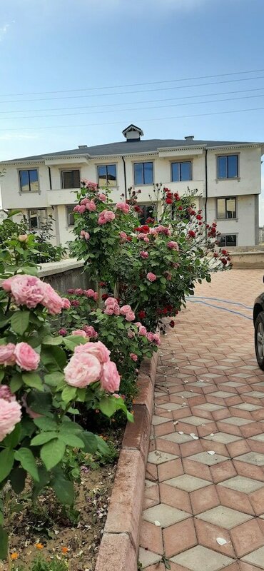 Гостиница Z&b Home Bnb Home в Ургюпе