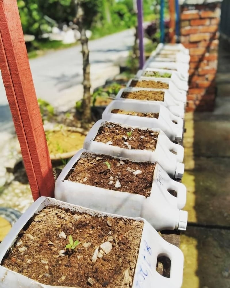 Фото Rick Resort Teluk Intan