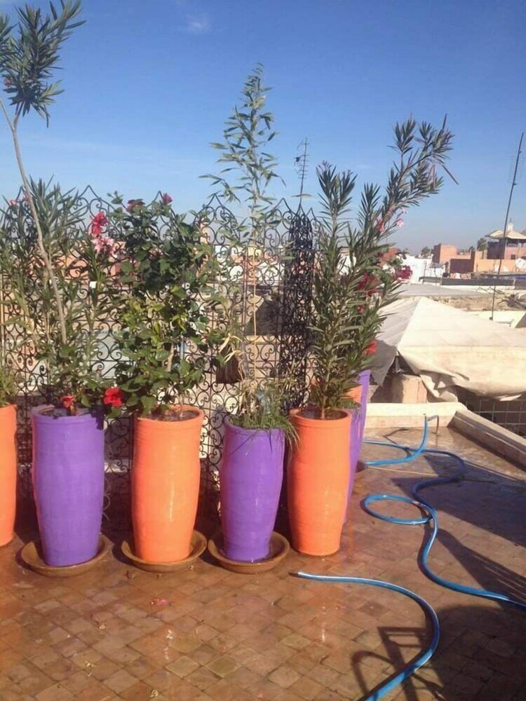 Фото Riad Manaoui