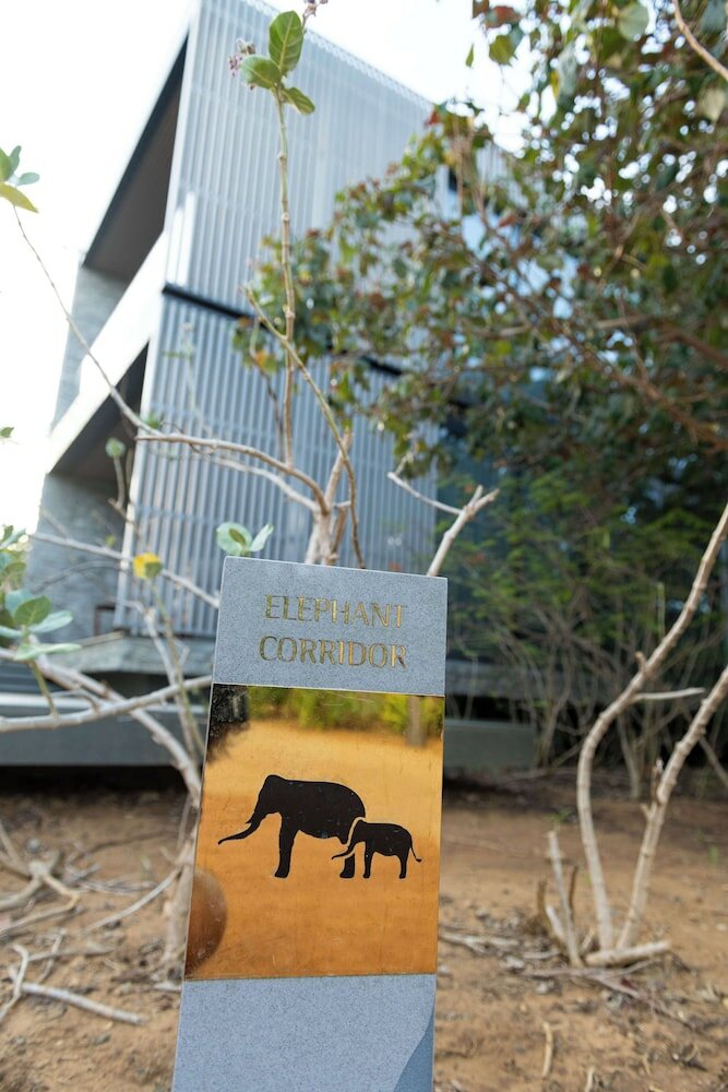 Фото Hilton Yala Resort