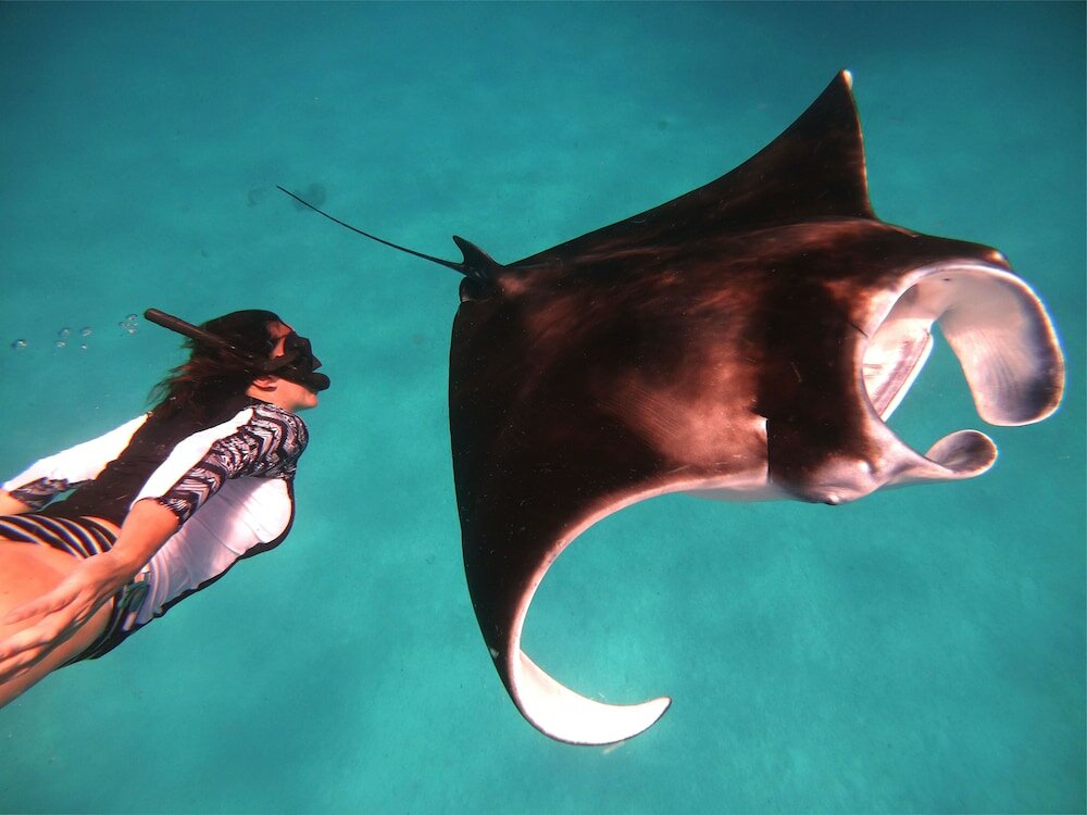 Фото South Ari Dive Center