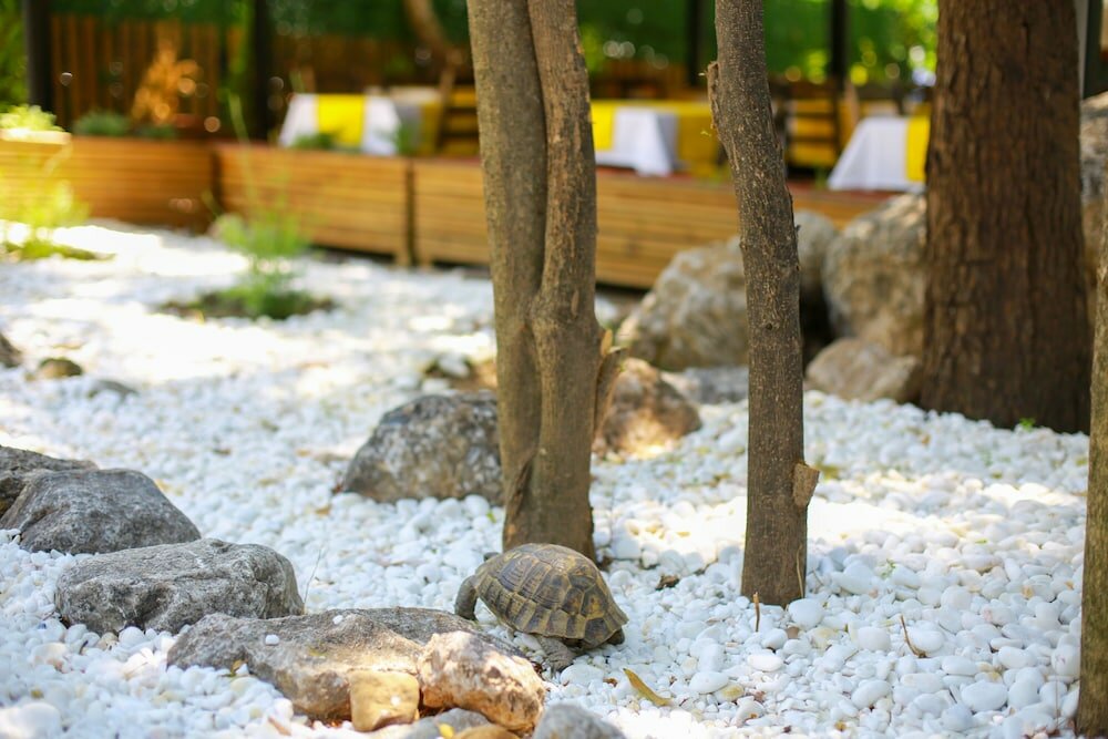 Фото Akyaka Yali Capkini