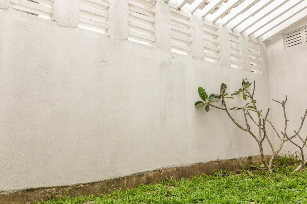 Фото Villa Rosa Blanca - White Rose