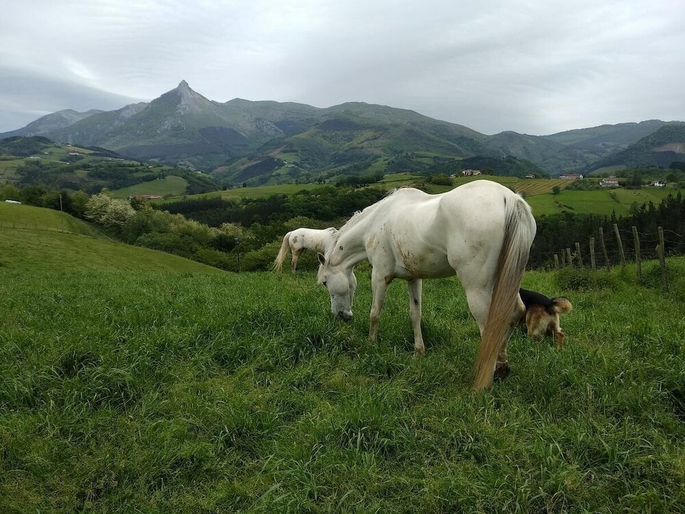 Фото Alarpe Aterpetxea - Hostel