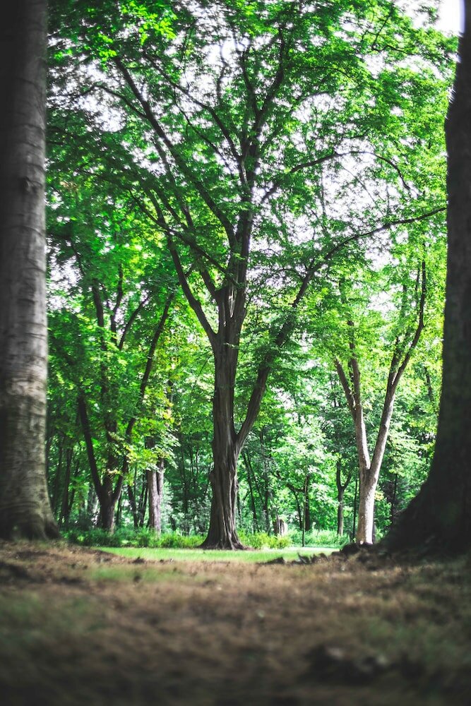 Фото Botaniq Castle of Tura