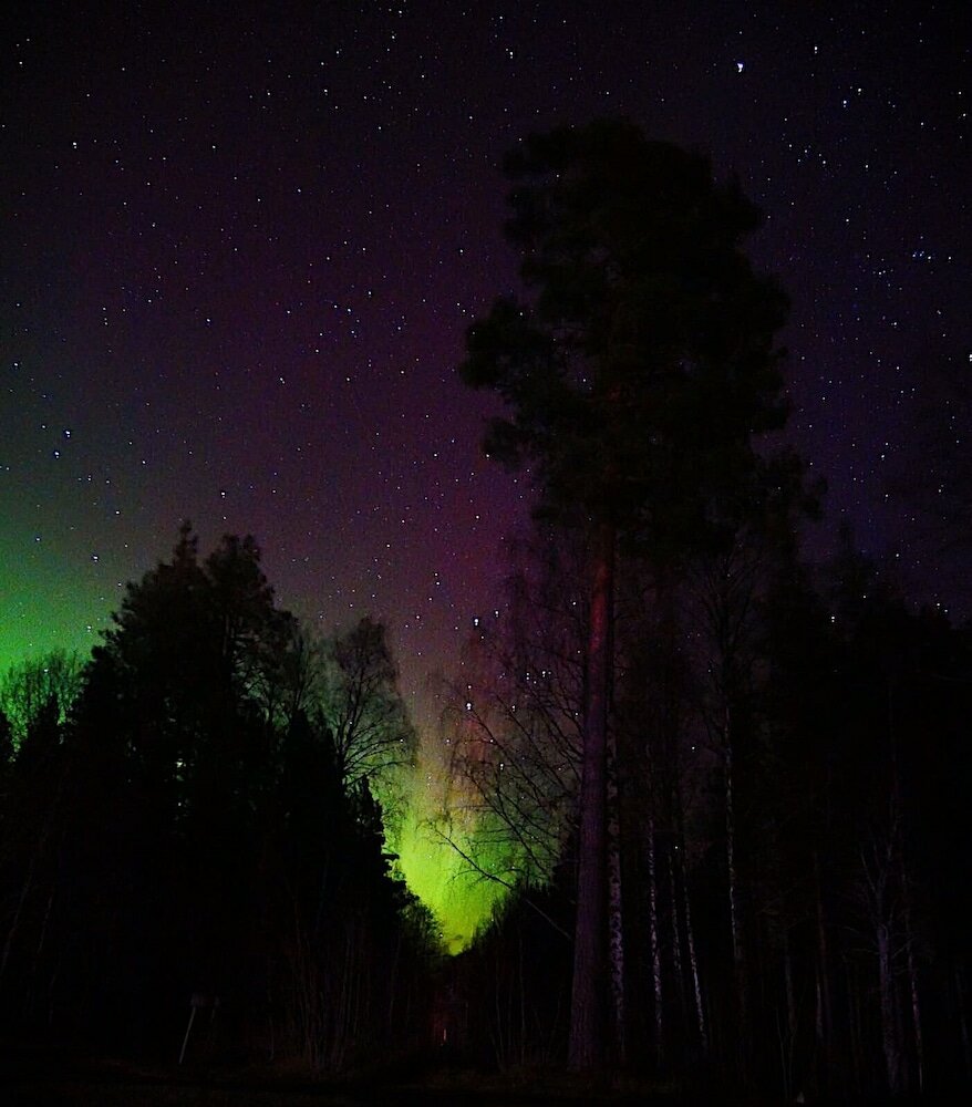 Фото Vildmarks Lodge