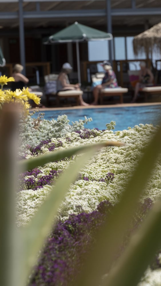 Фото Maleme Mare Beach Resort Hotel