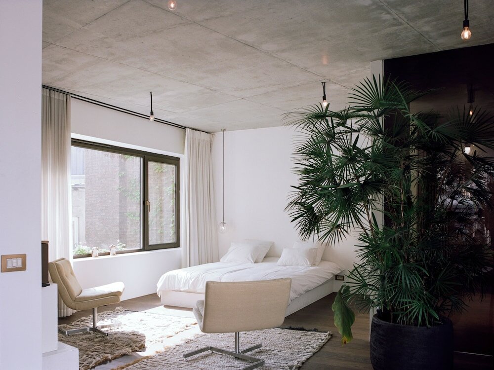 Фото Teddy Picker