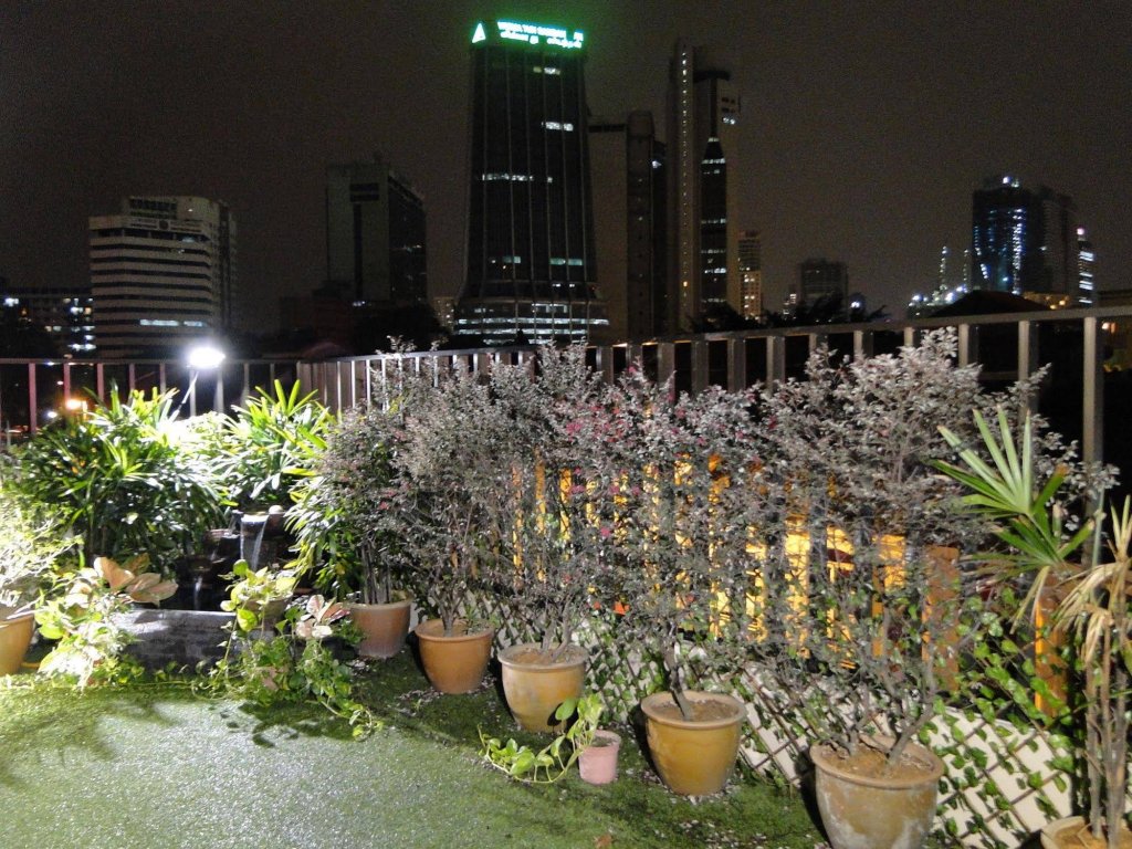 Фото Oyo 476 Rain Forest Hotel