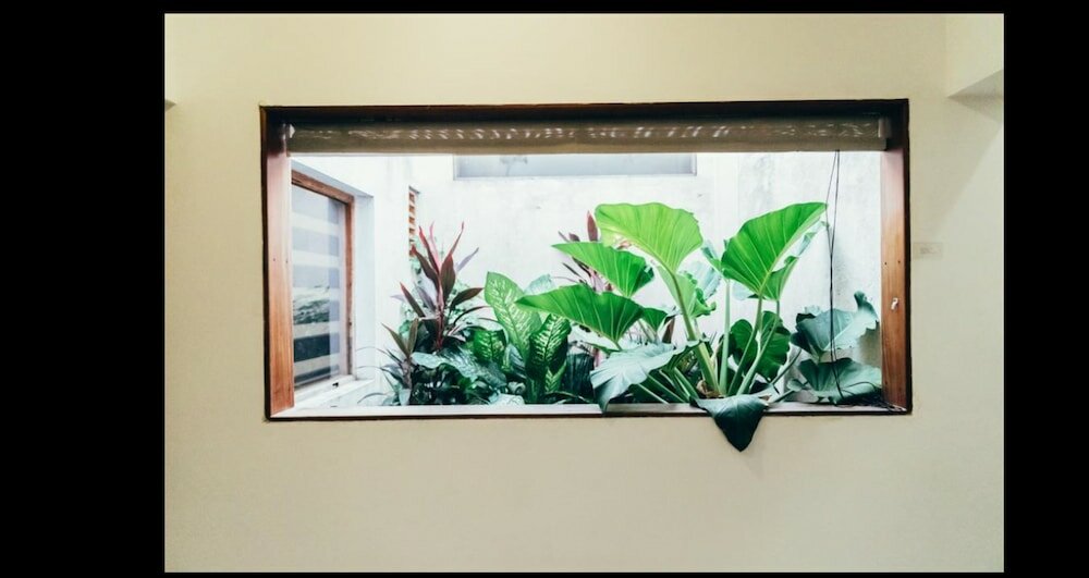 Фото Moss Colombo