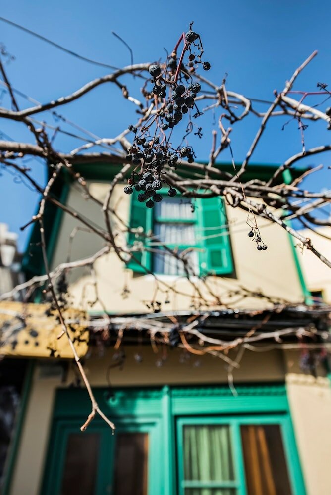 Фото St Paul Villa by halu! Apartments