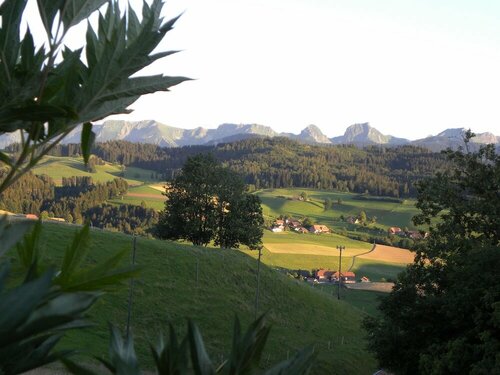 Гостиница Cottage Holiday B&b Gantrisch