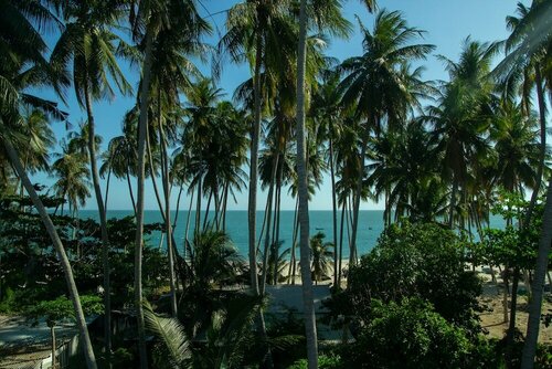 Гостиница Nu Cuoi Mui Ne Hotel & Restaurant