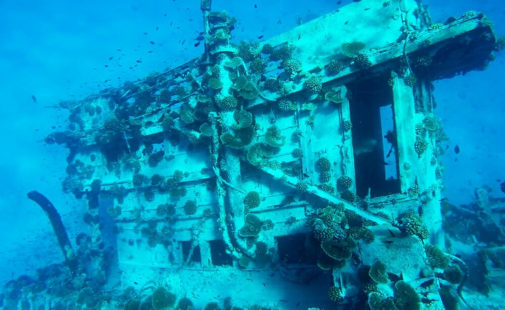 Фото Adroit Beach Inn