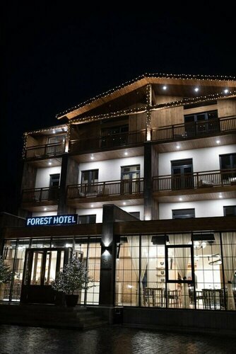 Гостиница Forest 1961 Boutique Hotel & Restaurant в Ванадзоре
