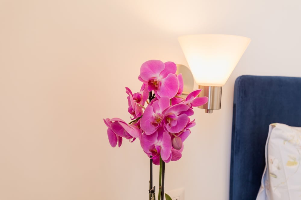 Фото Blu Parthenope Suites