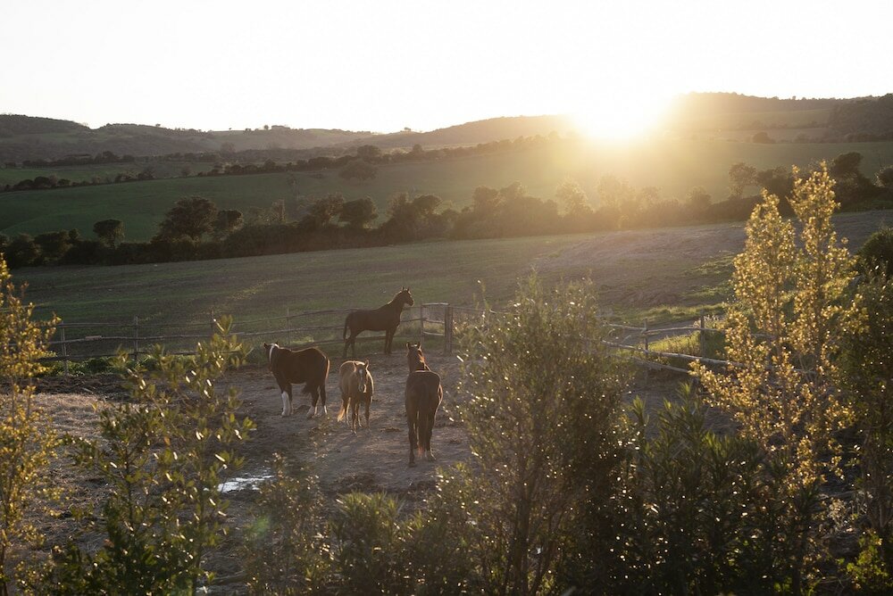 Фото Locanda Fontelupa