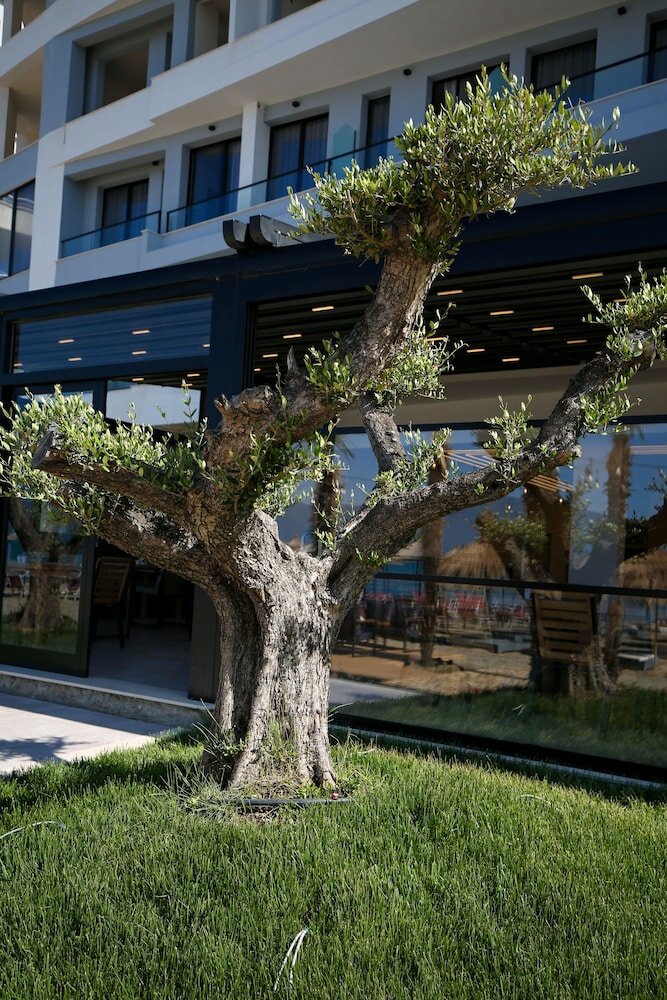 Фото Sea & Sand Hotel