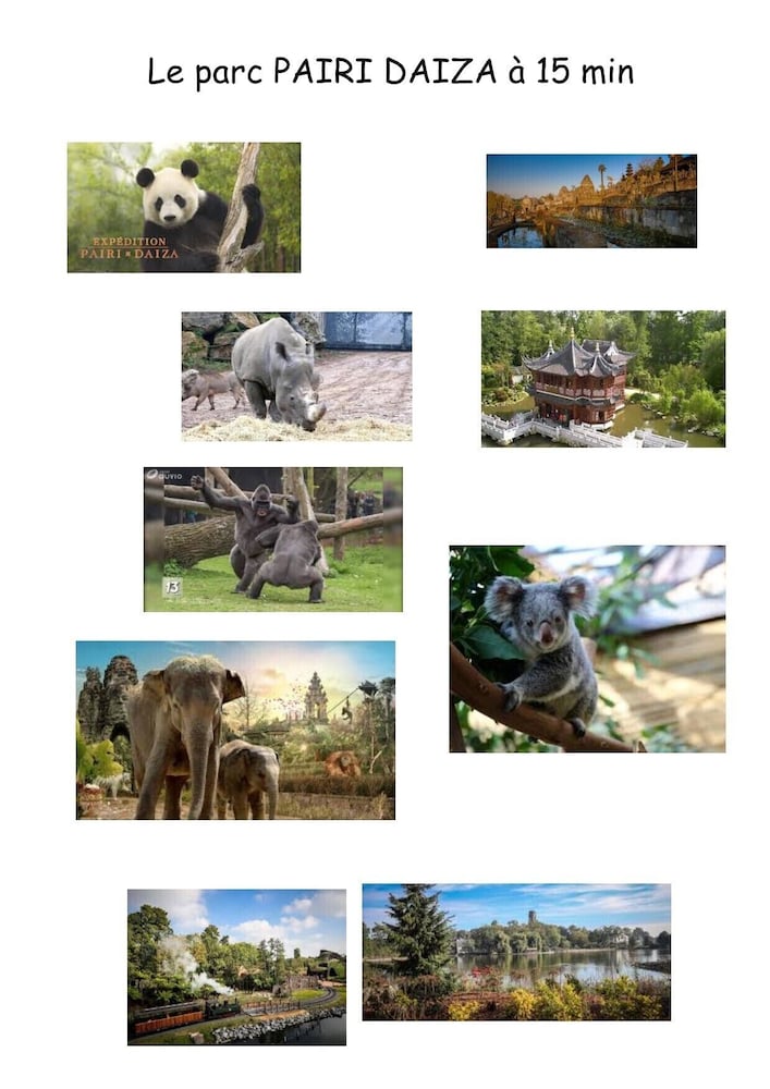 Фото Chambres D'hôte l'écureuil Proche de Mons, Pairi Daiza, à Côté de Spark'oh