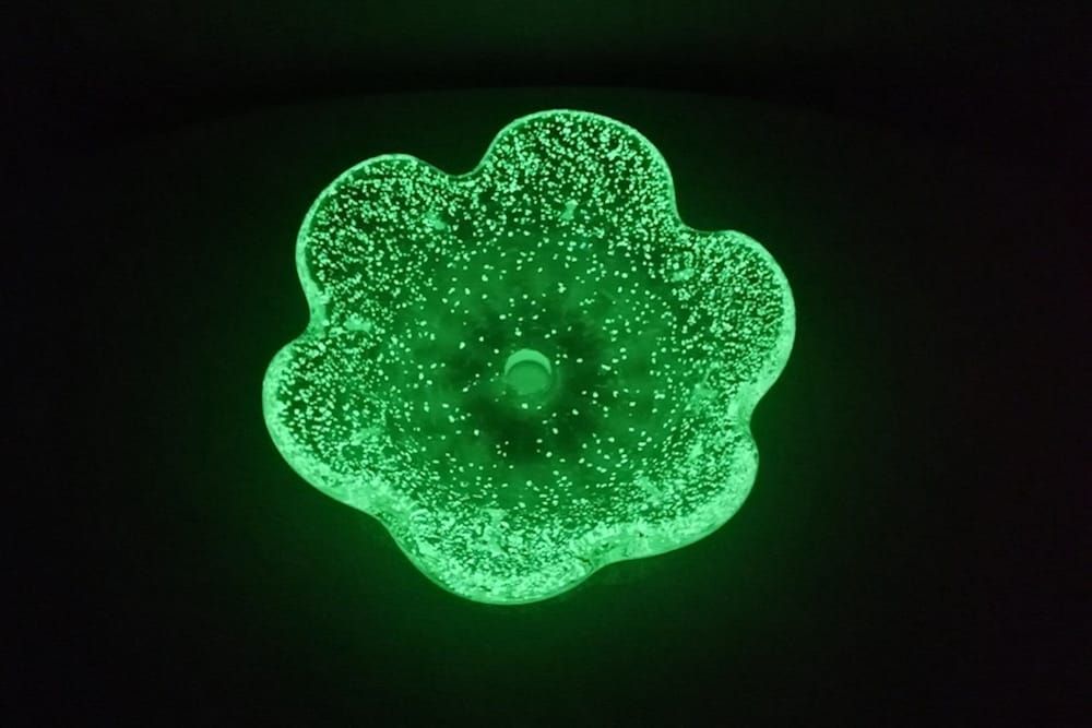 Фото Setouchi Triennale Hotel - Hostel