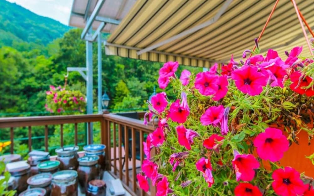 Фото Yangyang Daol Pension