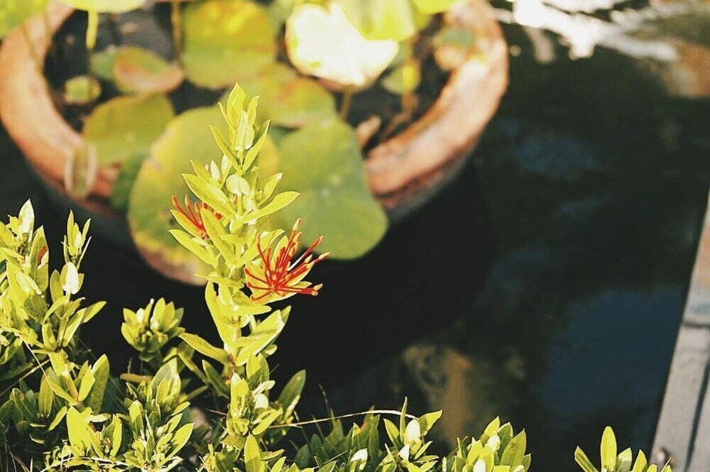 Фото Tachang Airport Hotel