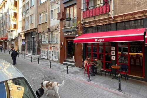 Гостиница Golva Rooms Yeldeğirmeni в Кадыкёй
