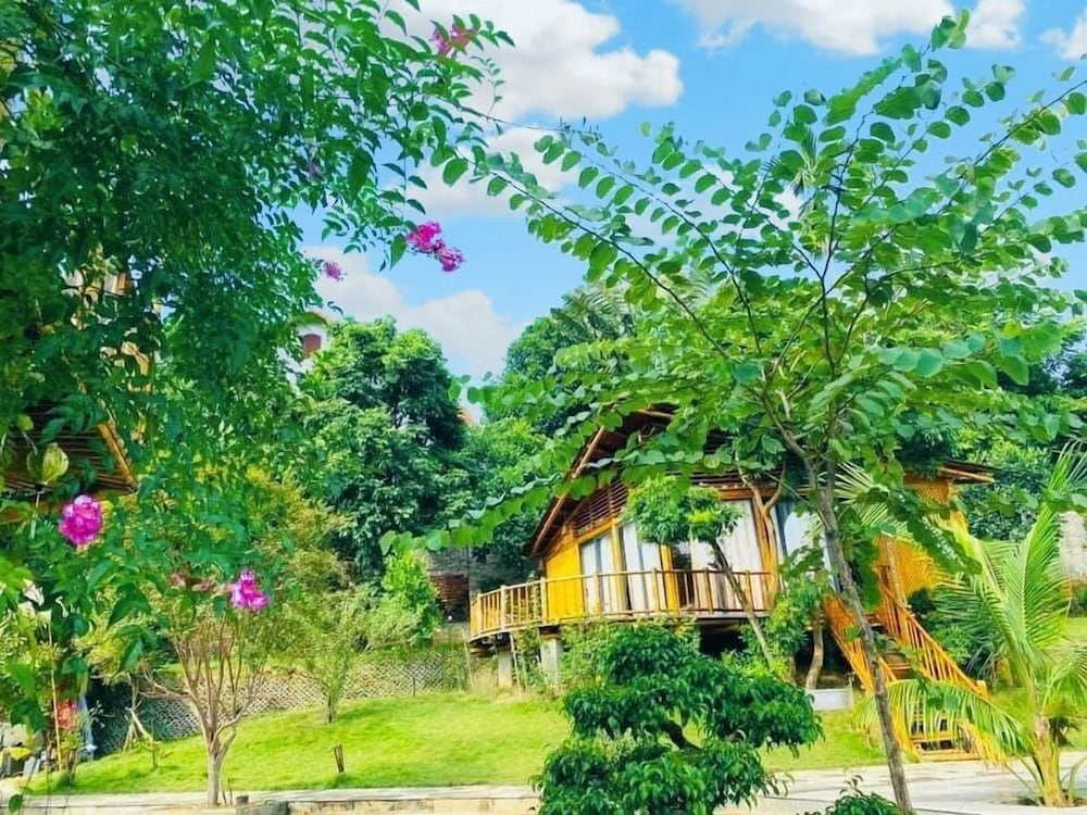 Фото Little Bee House