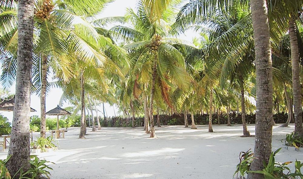 Фото Nazaki Beach Hotel