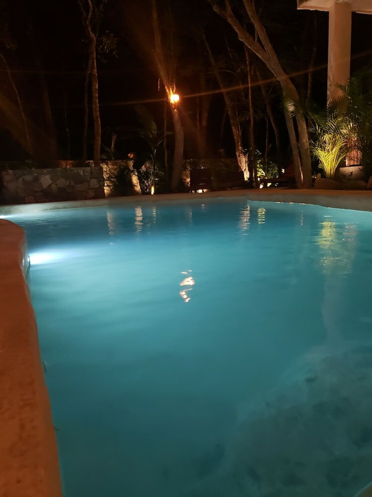 Фото Jungle Penthouse