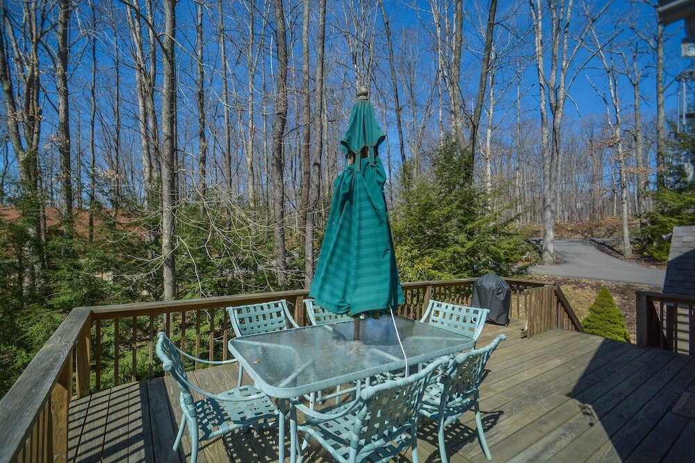 Фото Donnas Choice