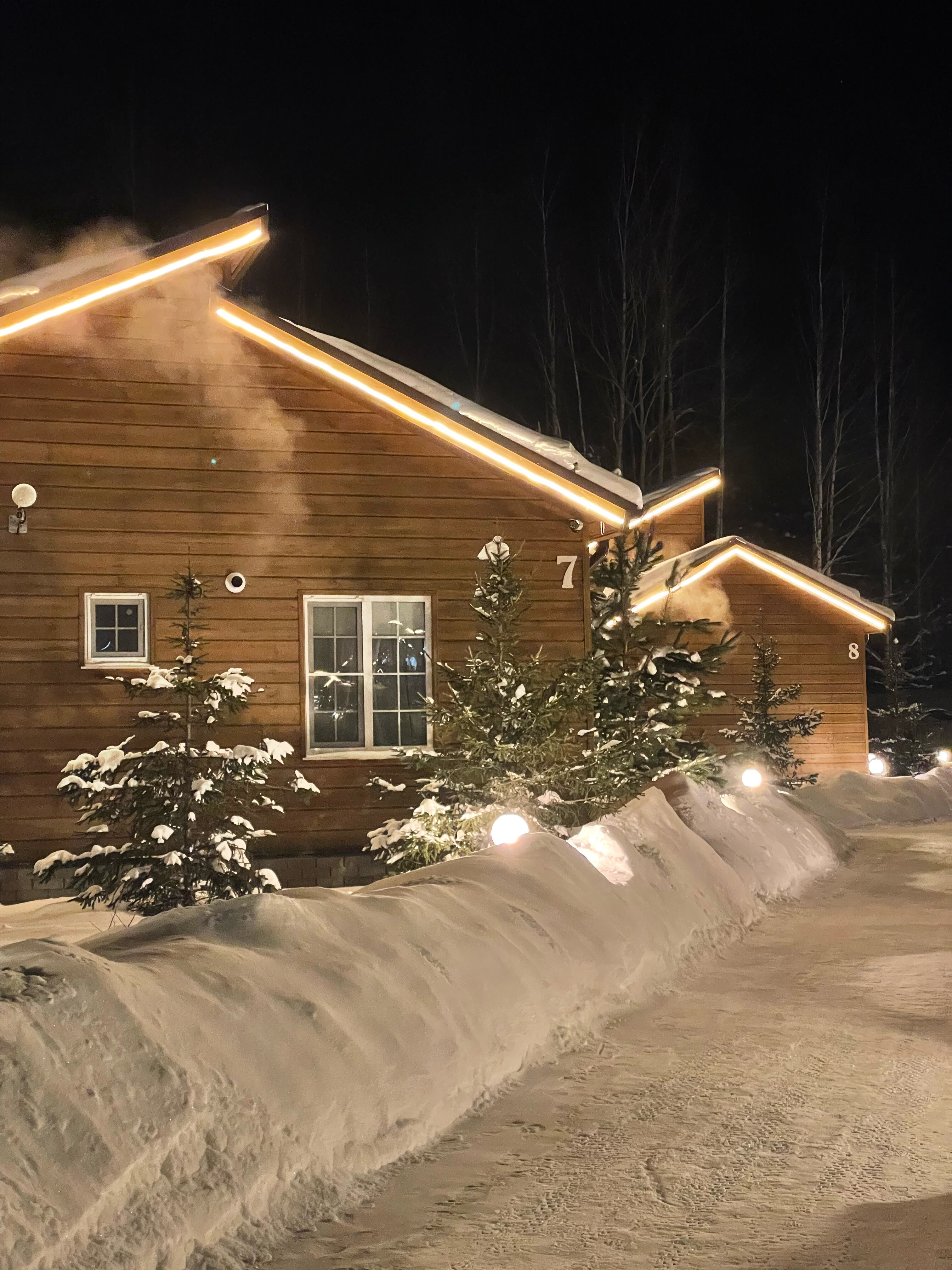 Фото Золотые Караси