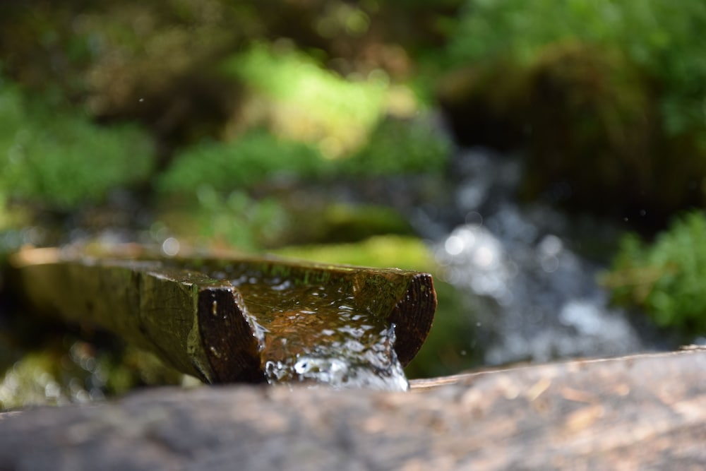 Фото Berggasthof Badl