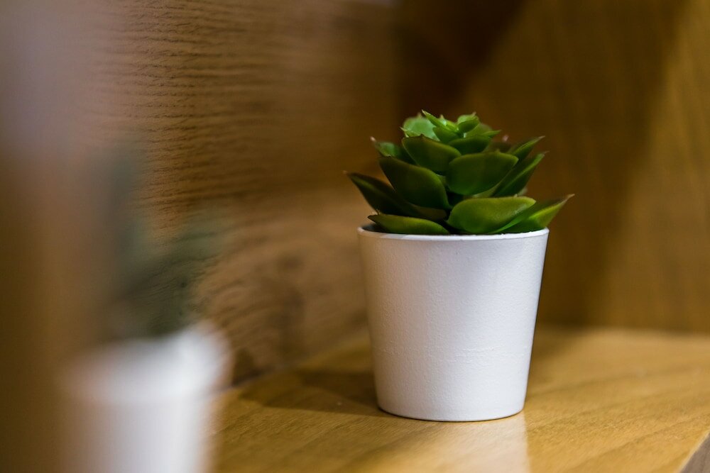 Фото HillHouse Plovdiv