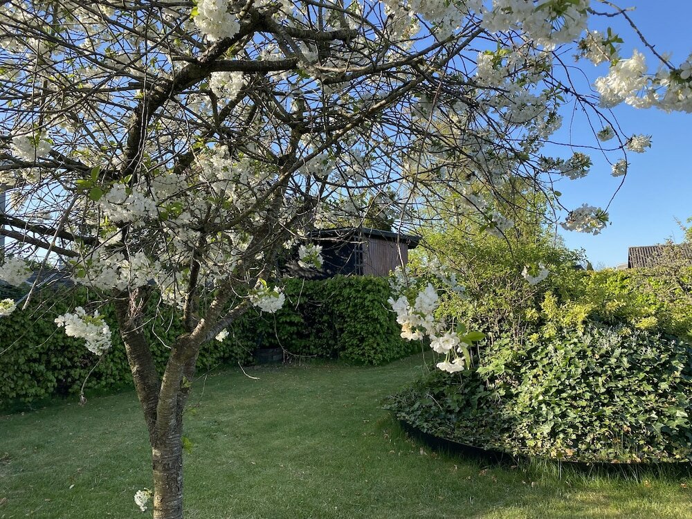 Фото Sommerhus i Risskov